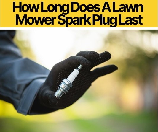 How Long Does A Lawn Mower Spark Plug Last (When to Replace)