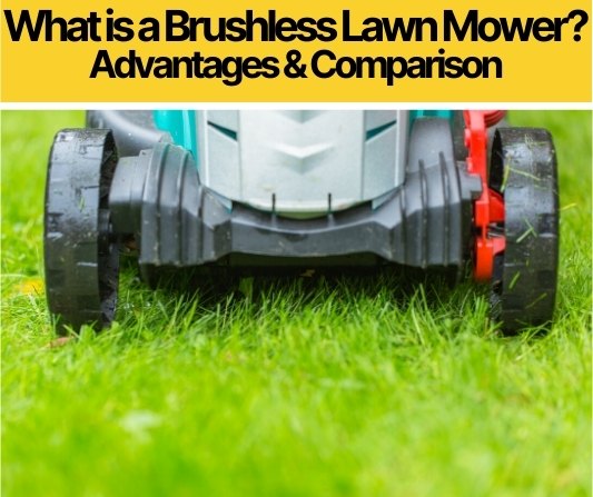 What is a Brushless Lawn Mower (Are they Better?)
