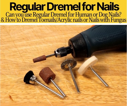 can you use regular dremel for nails