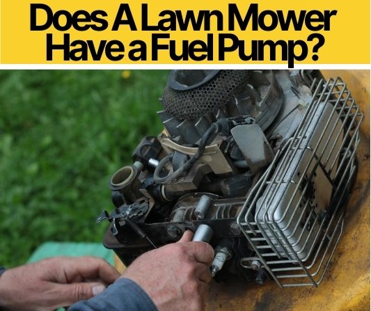 Does A Lawn Mower Have a Fuel Pump & How To Test/Swap it