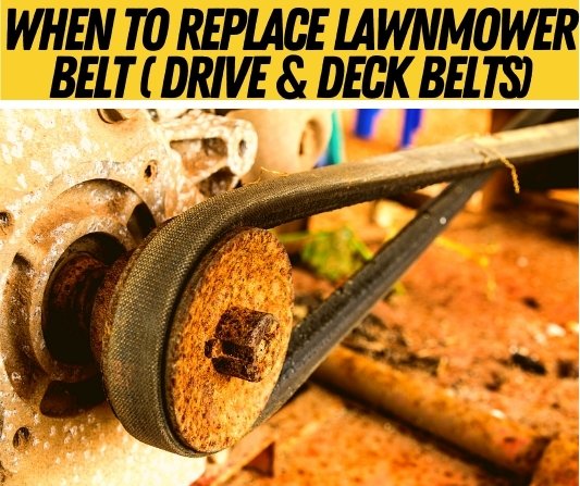 When to Replace Lawn Mower Belt (Drive & Deck Belts)